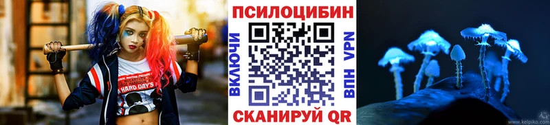 Псилоцибиновые грибы прущие грибы  кракен   Чудово 